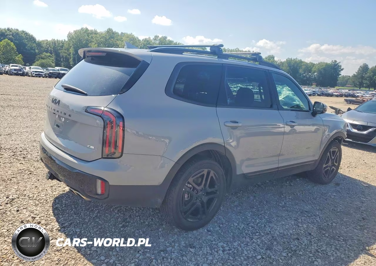 2025 Kia Telluride Sx-Prestige X-Line VIN:5XYP5DGC8SG633513 - 3