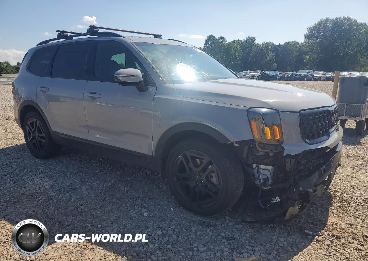 2025 Kia Telluride Sx-Prestige X-Line VIN:5XYP5DGC8SG633513 - 4