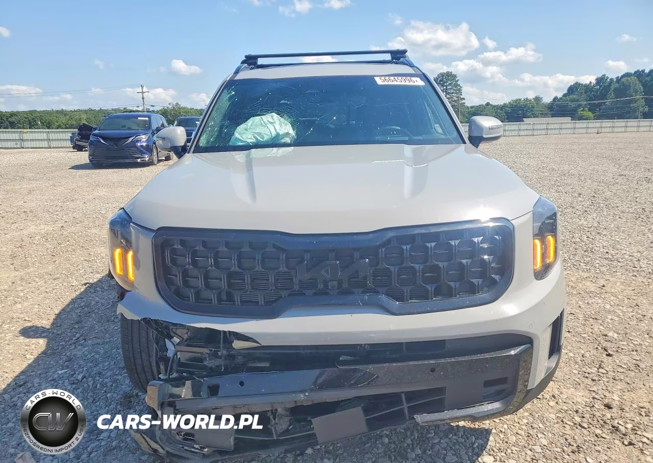 2025 Kia Telluride Sx-Prestige X-Line VIN:5XYP5DGC8SG633513 - 5