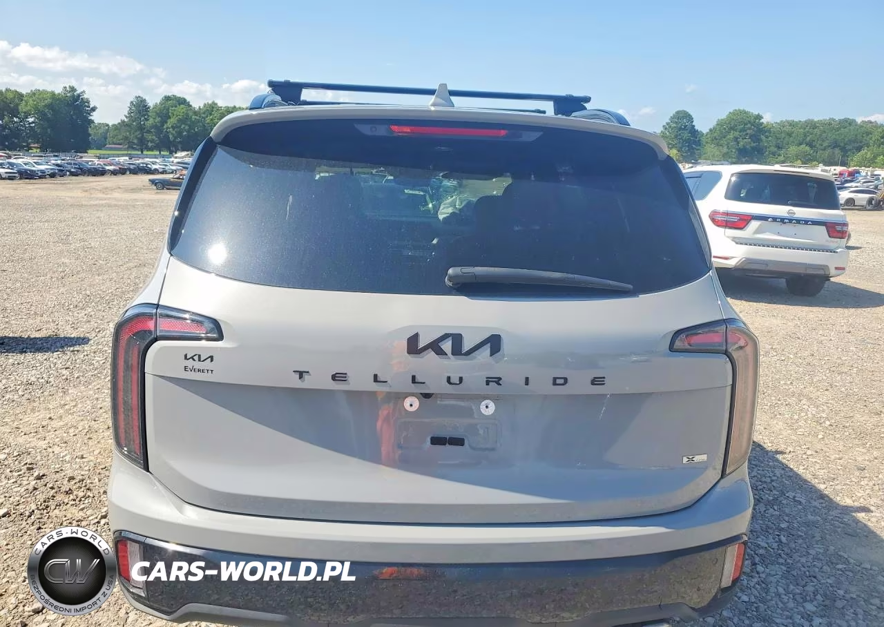 2025 Kia Telluride Sx-Prestige X-Line VIN:5XYP5DGC8SG633513 - 6
