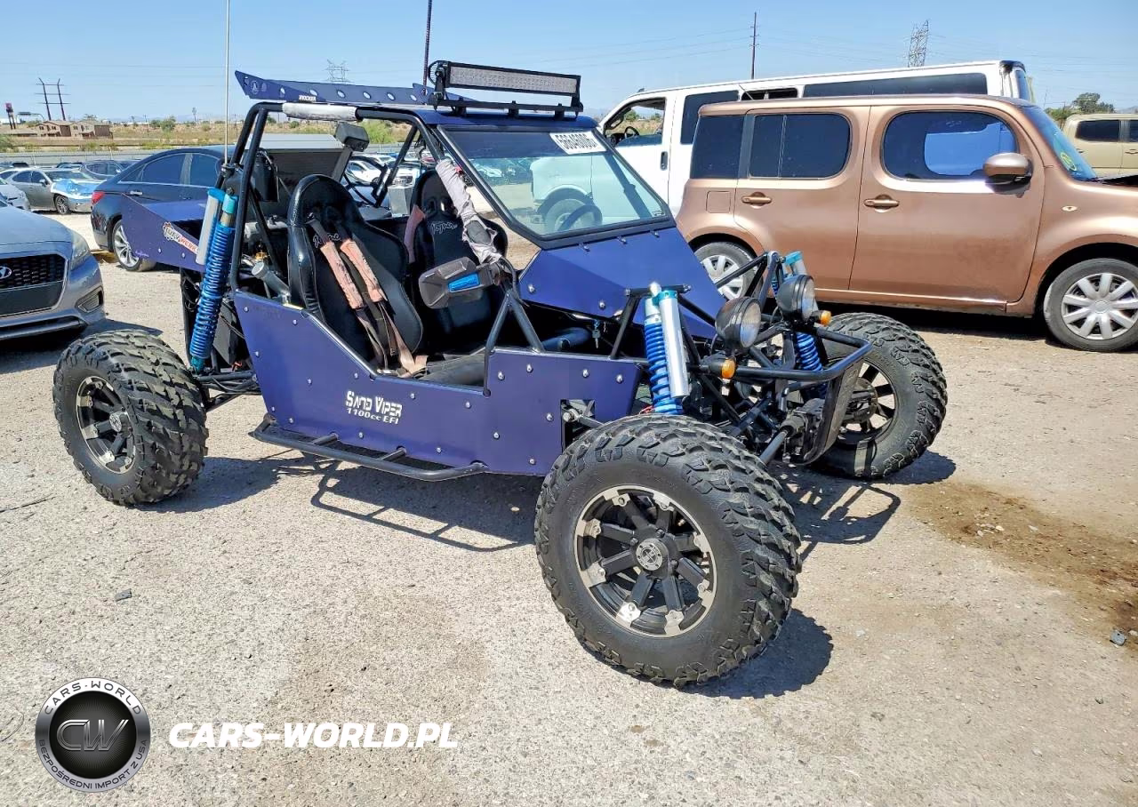 2018 Joyner Buggy