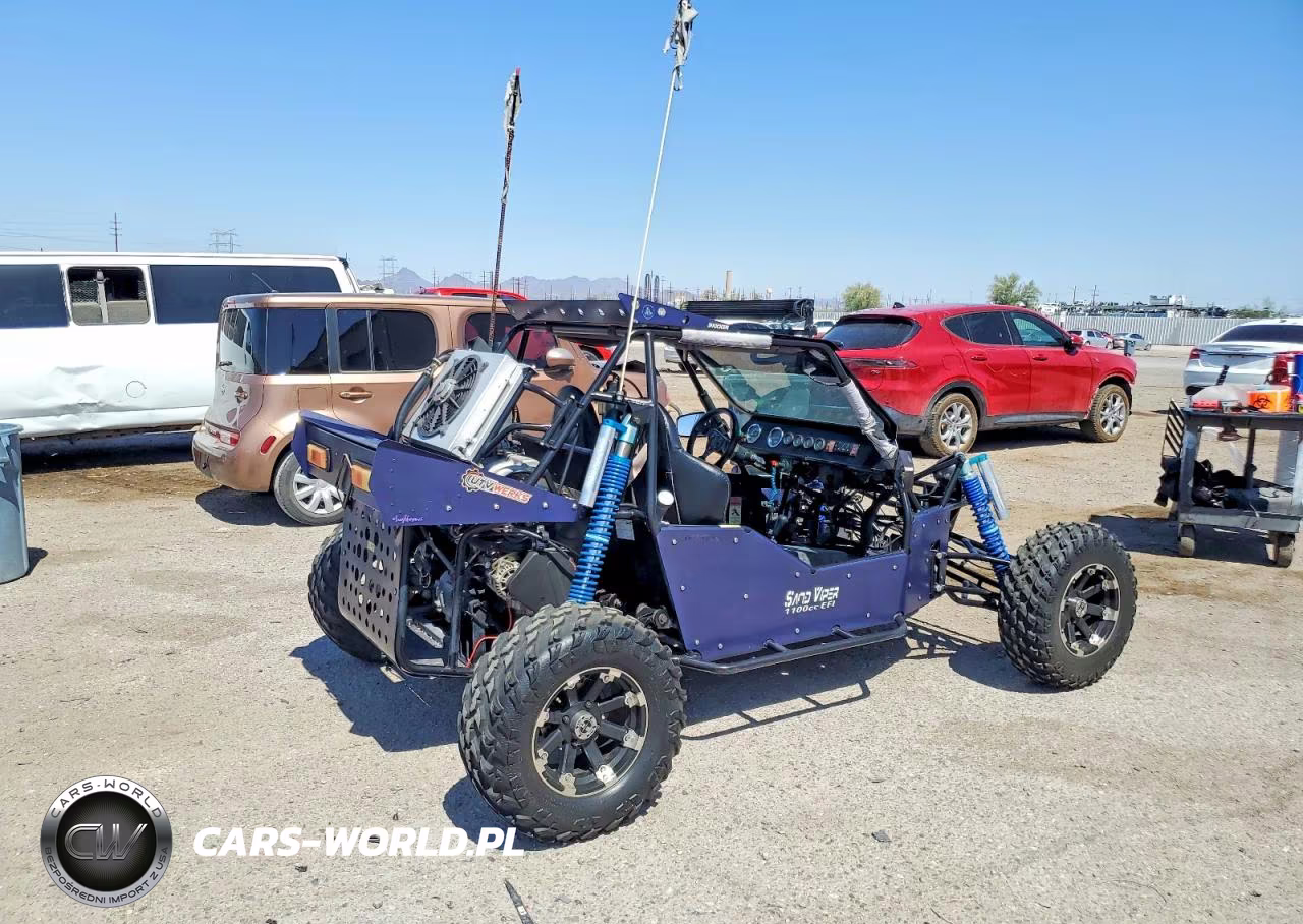 2018 Joyner Buggy VIN:LLBCMGB01JL000223 - 4