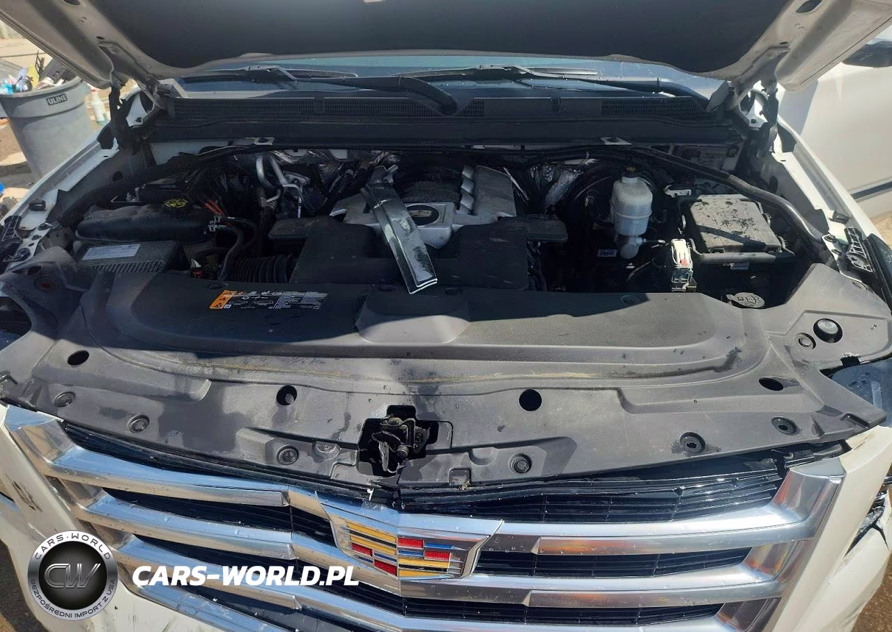 2018 Cadillac Escalade Luxury VIN:1GYS4BKJ8JR125897 - 12