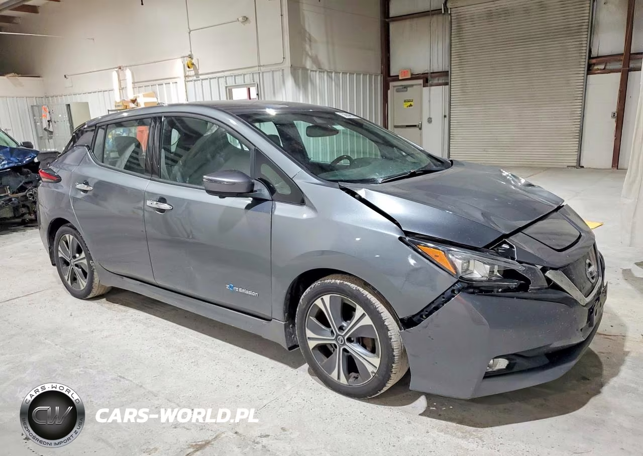 2019 Nissan Leaf Sl VIN:1N4AZ1CP1KC302543 - 4