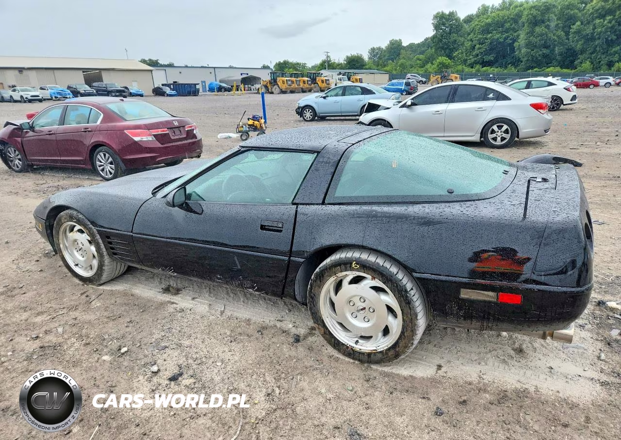 1993 Chevrolet Corvette VIN:1G1YY23P1P5103059 - 2