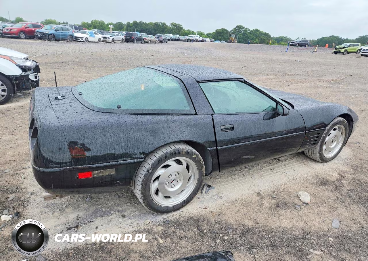 1993 Chevrolet Corvette VIN:1G1YY23P1P5103059 - 3