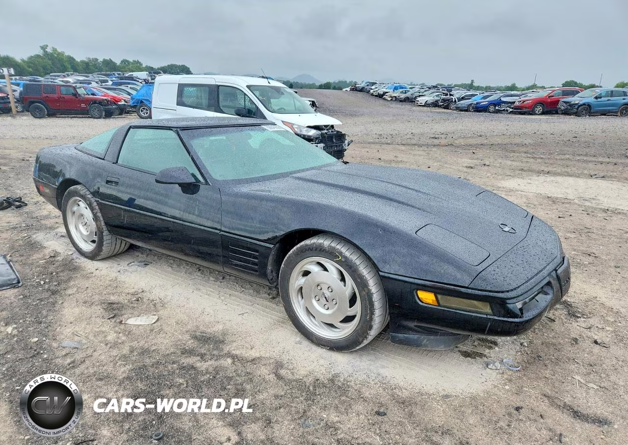 1993 Chevrolet Corvette VIN:1G1YY23P1P5103059 - 4
