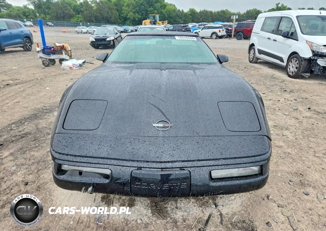 1993 Chevrolet Corvette VIN:1G1YY23P1P5103059 - 5