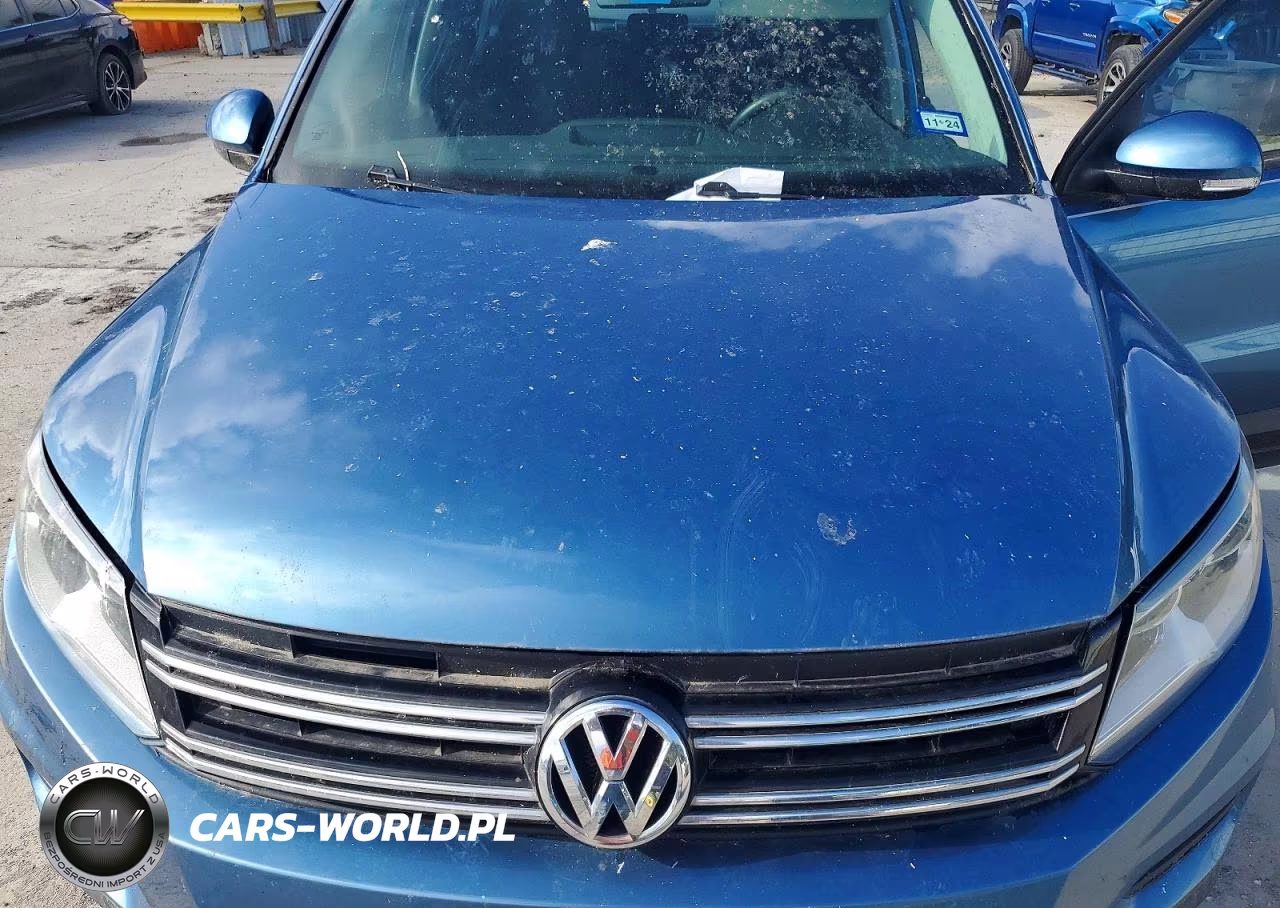 2017 Volkswagen Tiguan S VIN:WVGAV7AX8HK045466 - 11