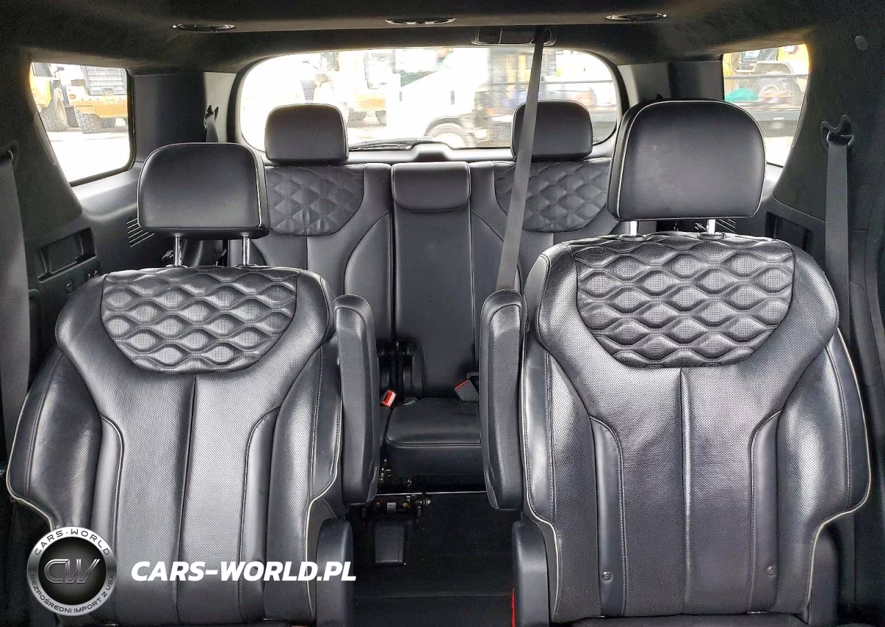 2020 Hyundai Palisade Limited VIN:KM8R54HE5LU126508 - 10
