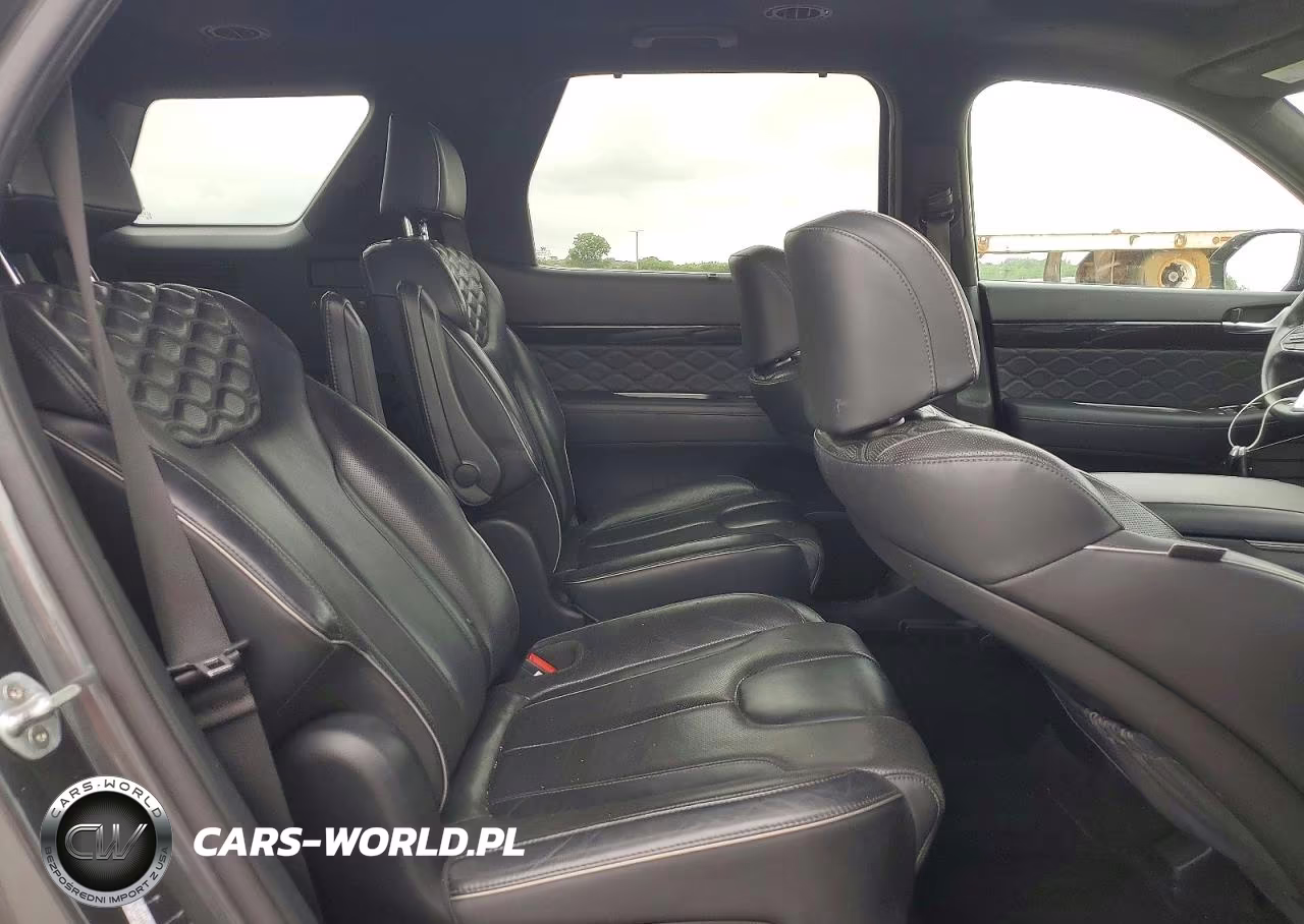 2020 Hyundai Palisade Limited VIN:KM8R54HE5LU126508 - 11