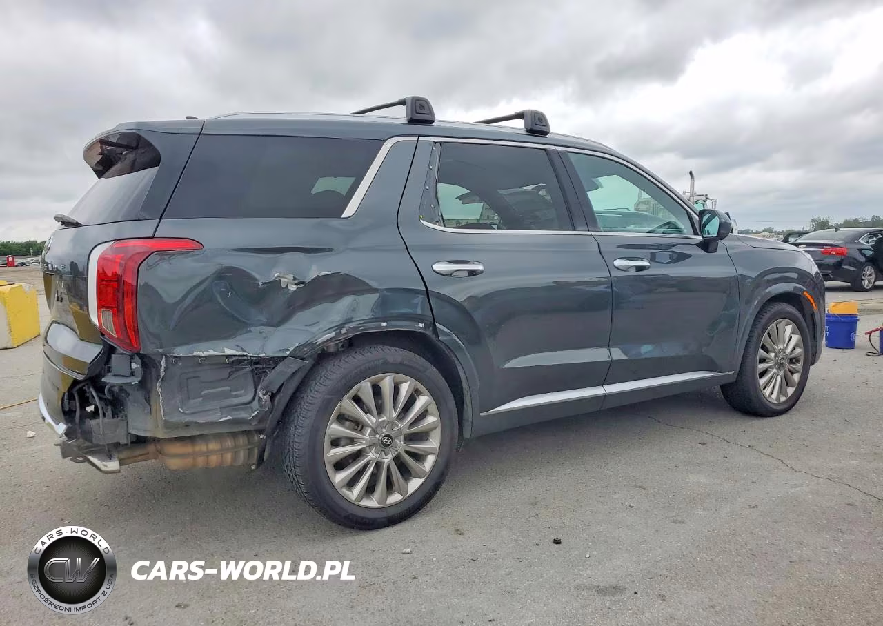 2020 Hyundai Palisade Limited VIN:KM8R54HE5LU126508 - 3