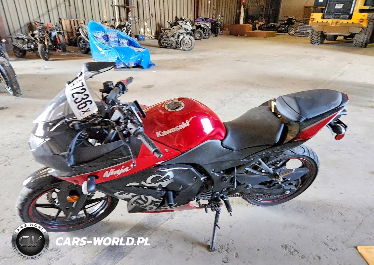 2010 Kawasaki Ex250 J VIN:JKAEXMJ16ADA66320 - 3
