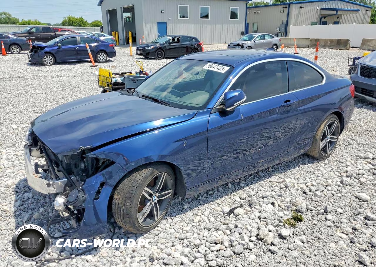 2017 BMW 230Xi