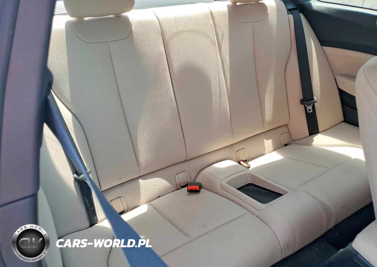 2017 BMW 230Xi VIN:WBA2H9C31HV986887 - 10