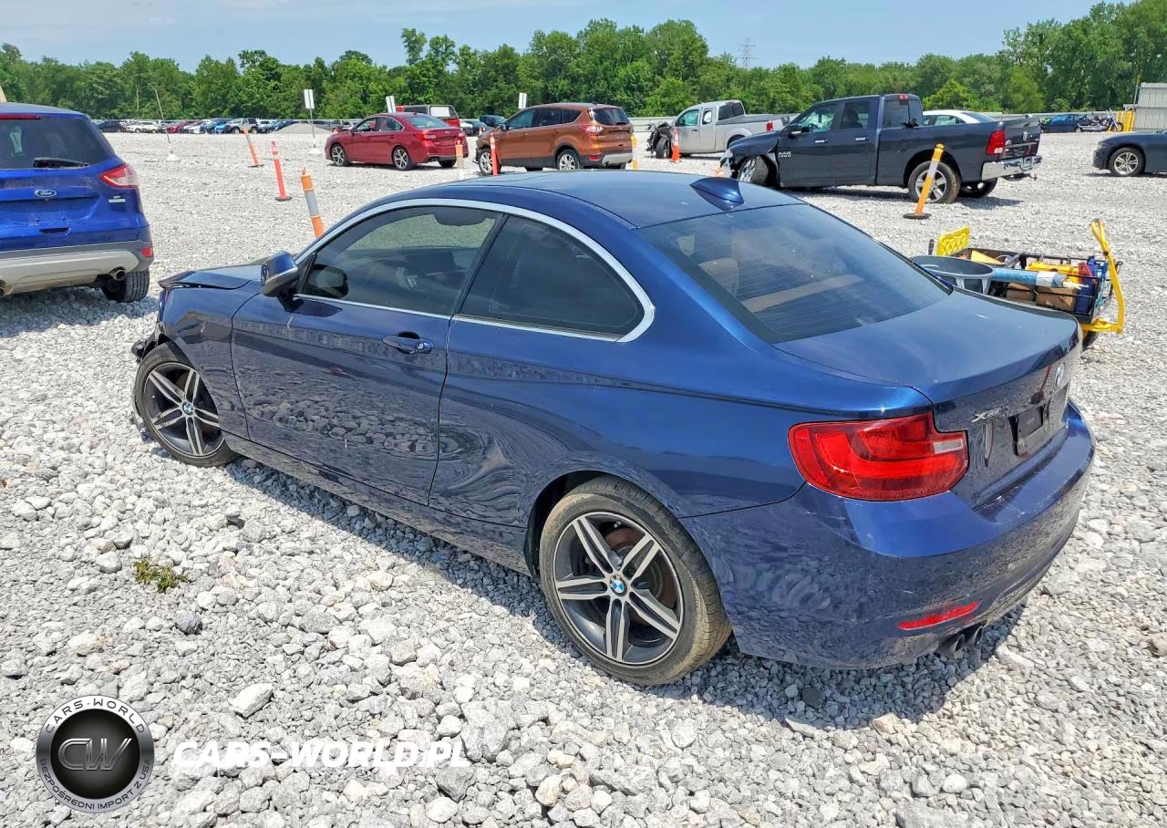2017 BMW 230Xi VIN:WBA2H9C31HV986887 - 2