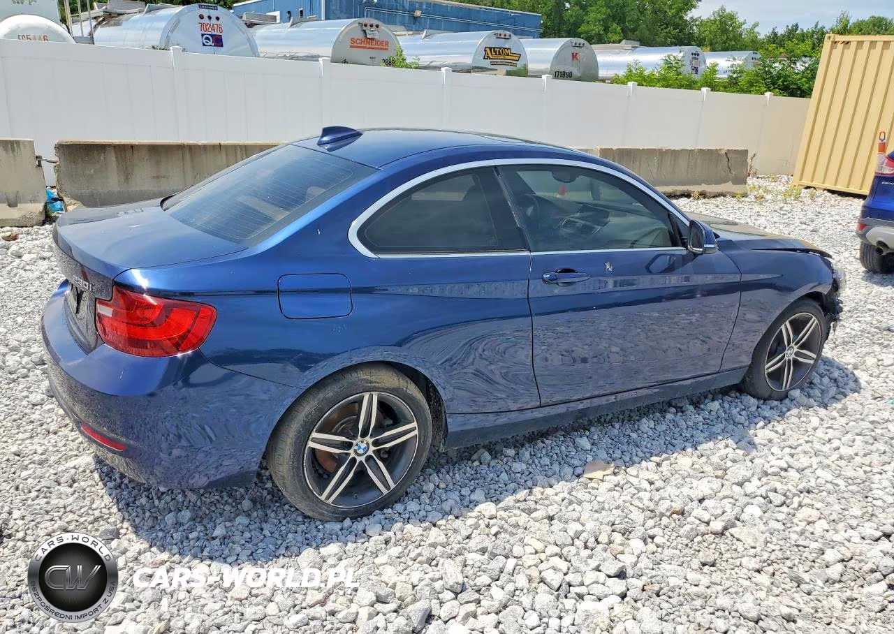 2017 BMW 230Xi VIN:WBA2H9C31HV986887 - 3