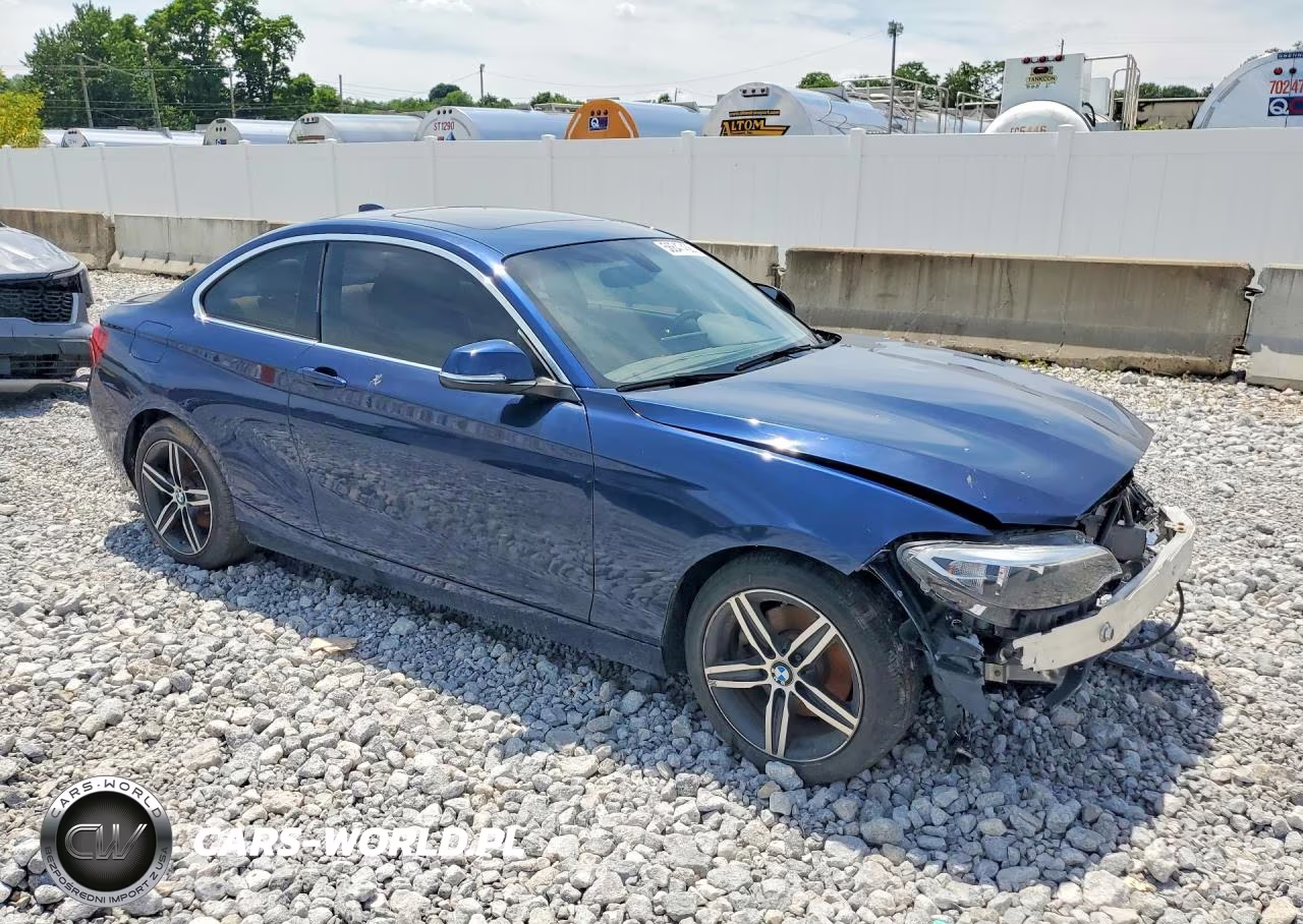 2017 BMW 230Xi VIN:WBA2H9C31HV986887 - 4