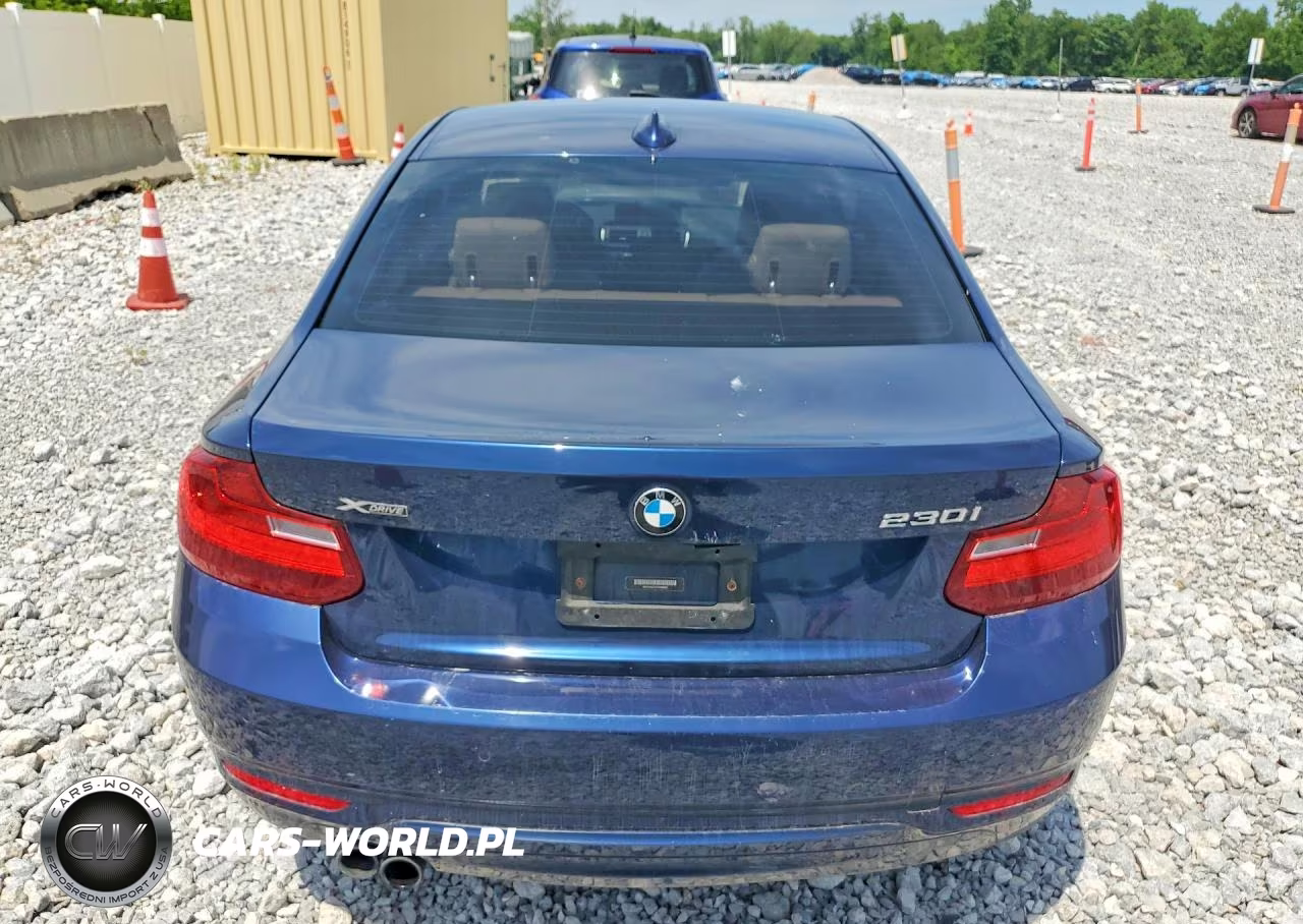 2017 BMW 230Xi VIN:WBA2H9C31HV986887 - 6