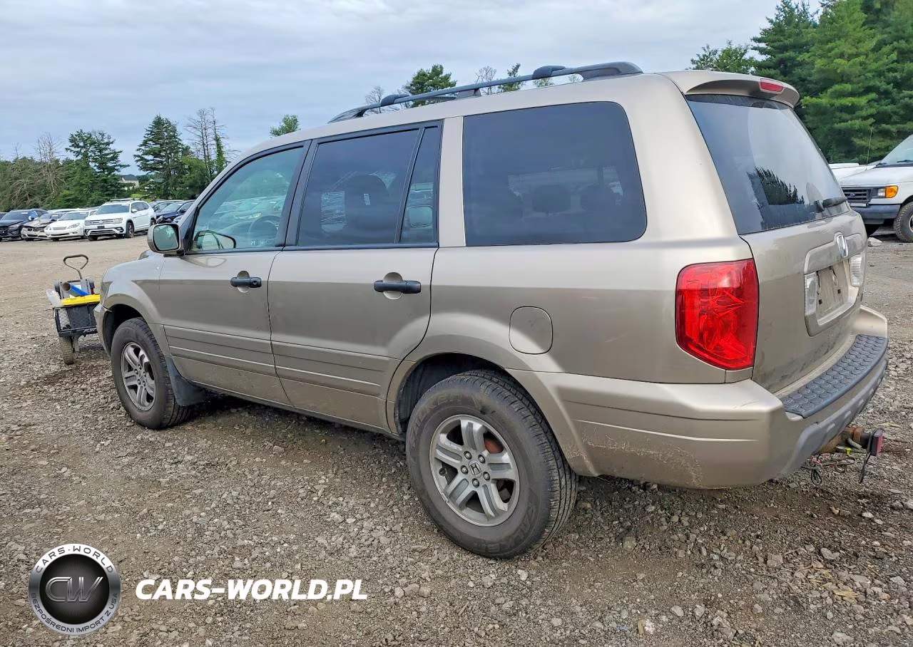 2005 Honda Pilot Ex VIN:5FNYF18485B052838 - 2
