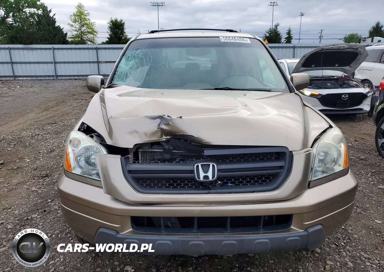 2005 Honda Pilot Ex VIN:5FNYF18485B052838 - 5