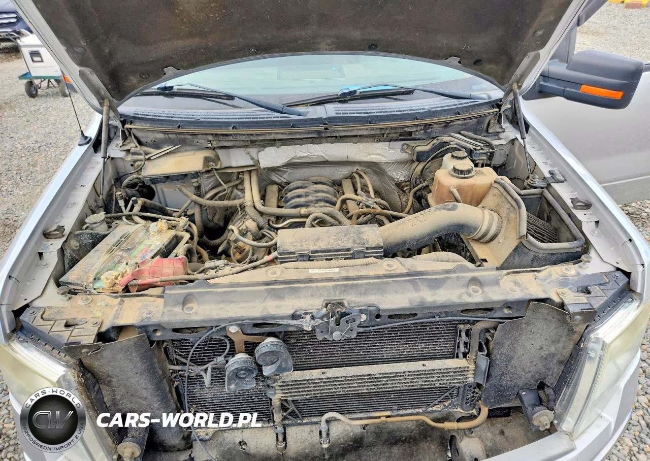 2012 Ford F150 Supercrew VIN:1FTFW1EF4CKD19731 - 11