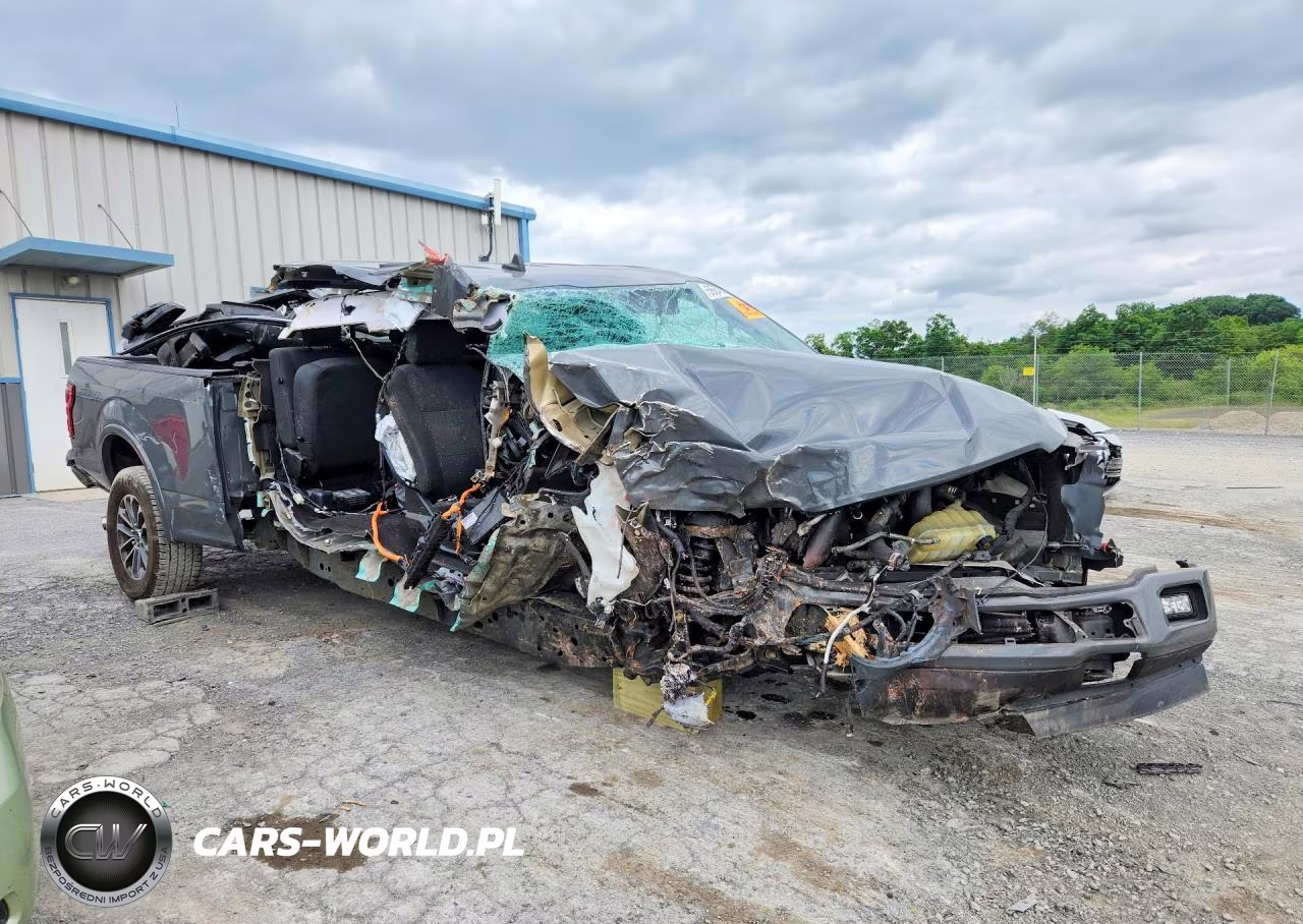 2020 Ford F150 Supercrew VIN:1FTFW1E46LFC15300 - 4