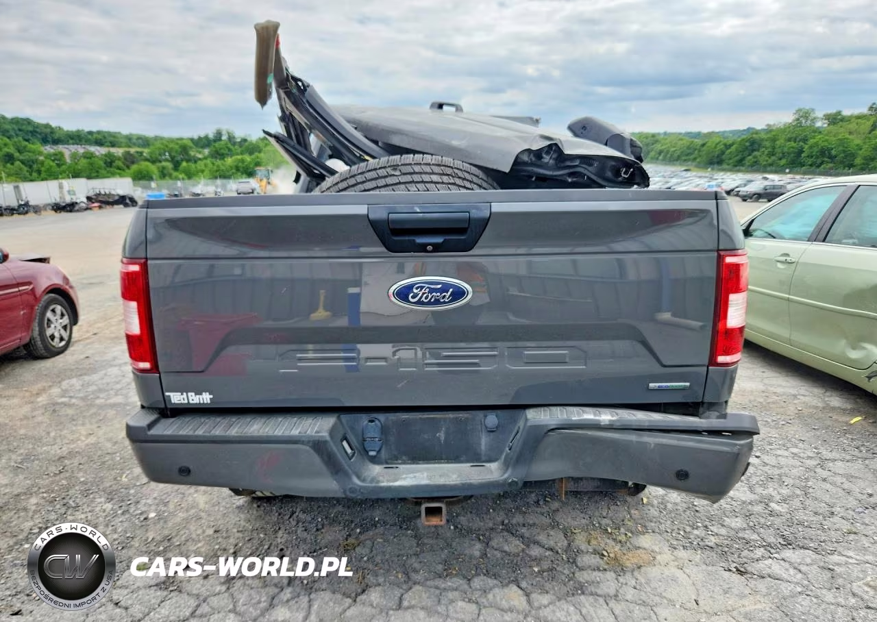 2020 Ford F150 Supercrew VIN:1FTFW1E46LFC15300 - 6