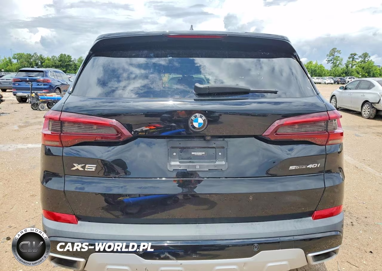 2023 BMW X5 Sdrive 40I VIN:5UXCR4C09P9P60244 - 6