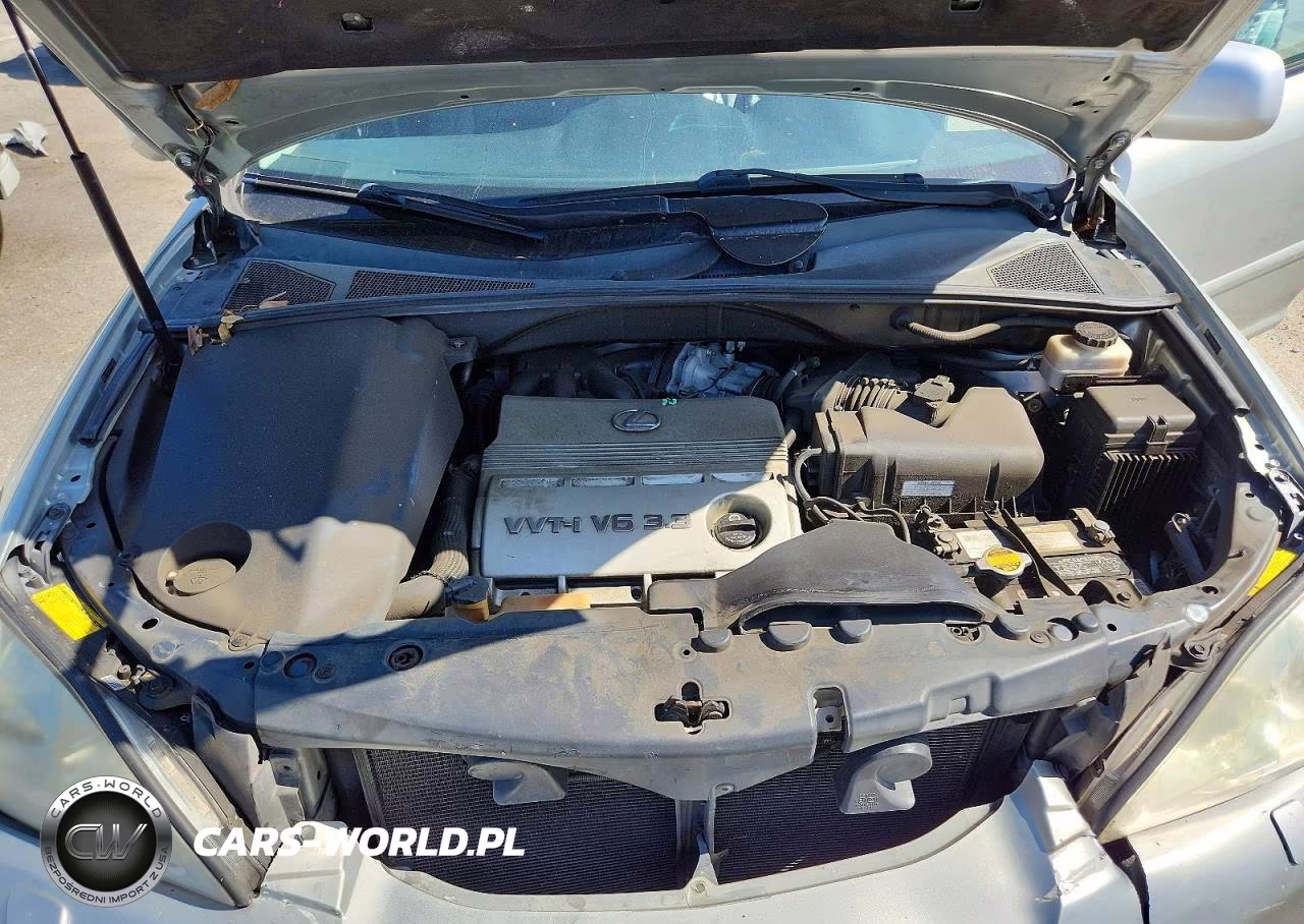 2006 Lexus Rx 330 VIN:2T2GA31U66C043945 - 12