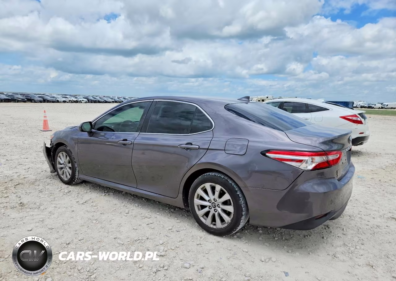 2020 Toyota Camry Le VIN:4T1C11AK0LU342315 - 2