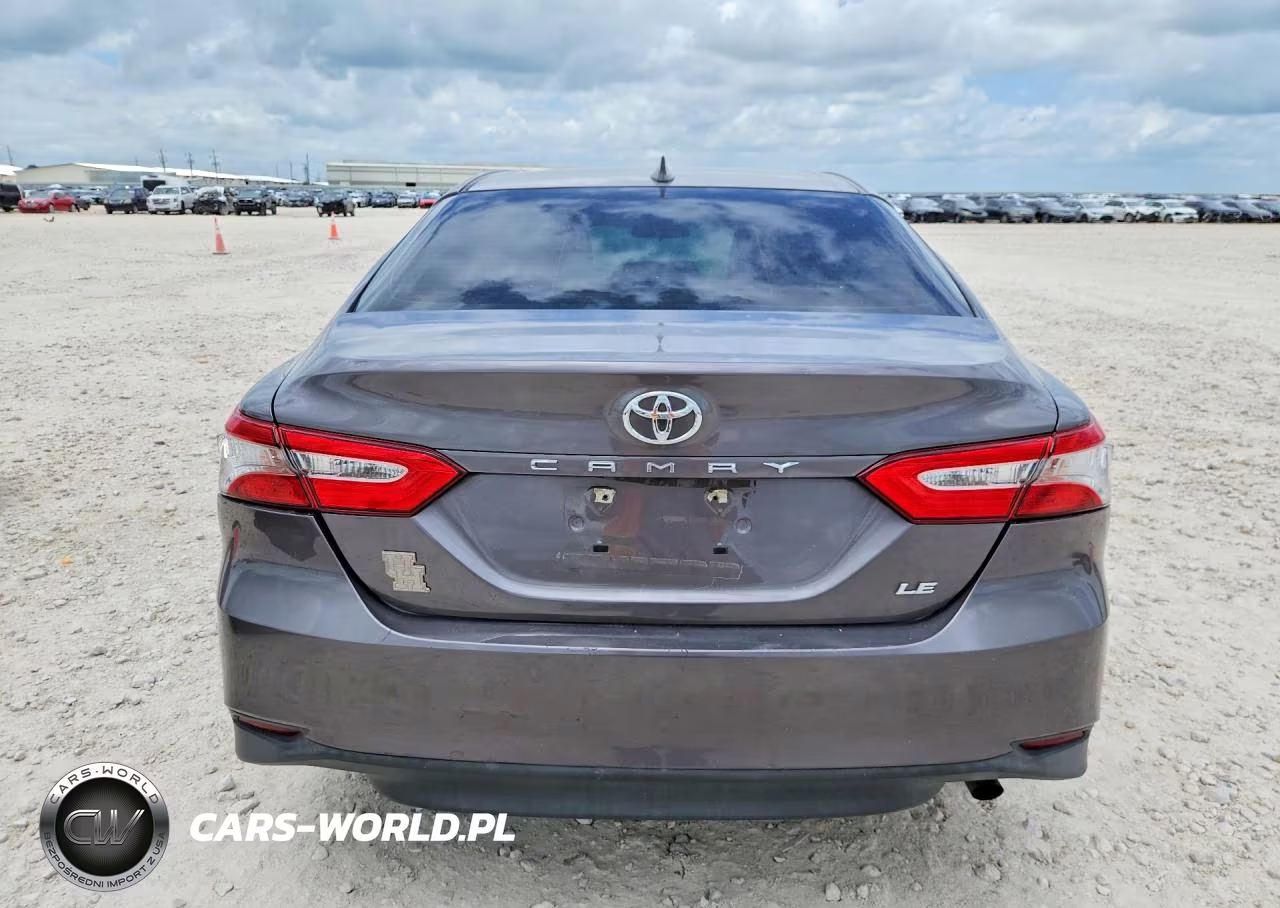2020 Toyota Camry Le VIN:4T1C11AK0LU342315 - 6