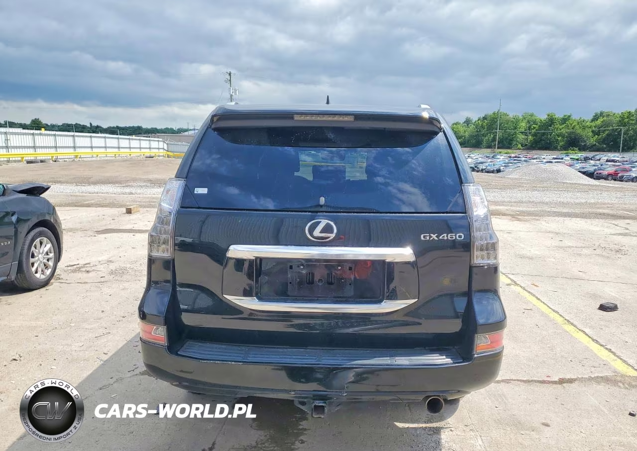 2020 Lexus Gx 460 VIN:JTJBM7BX5L5261001 - 6