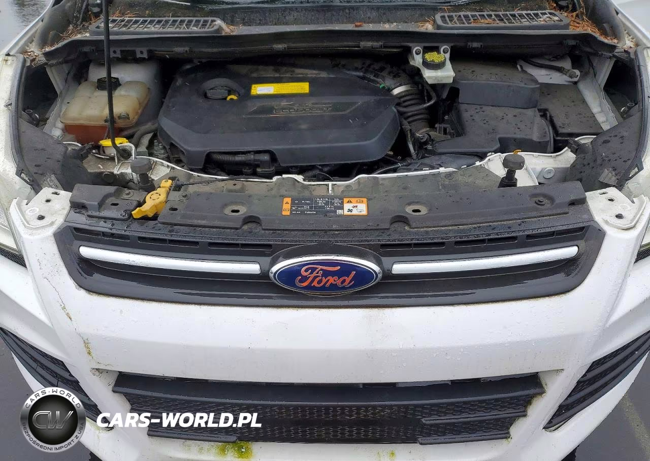 2016 Ford Escape VIN:1FMCU0GX8GUB41319 - 11