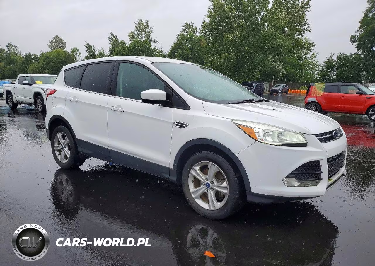 2016 Ford Escape VIN:1FMCU0GX8GUB41319 - 4
