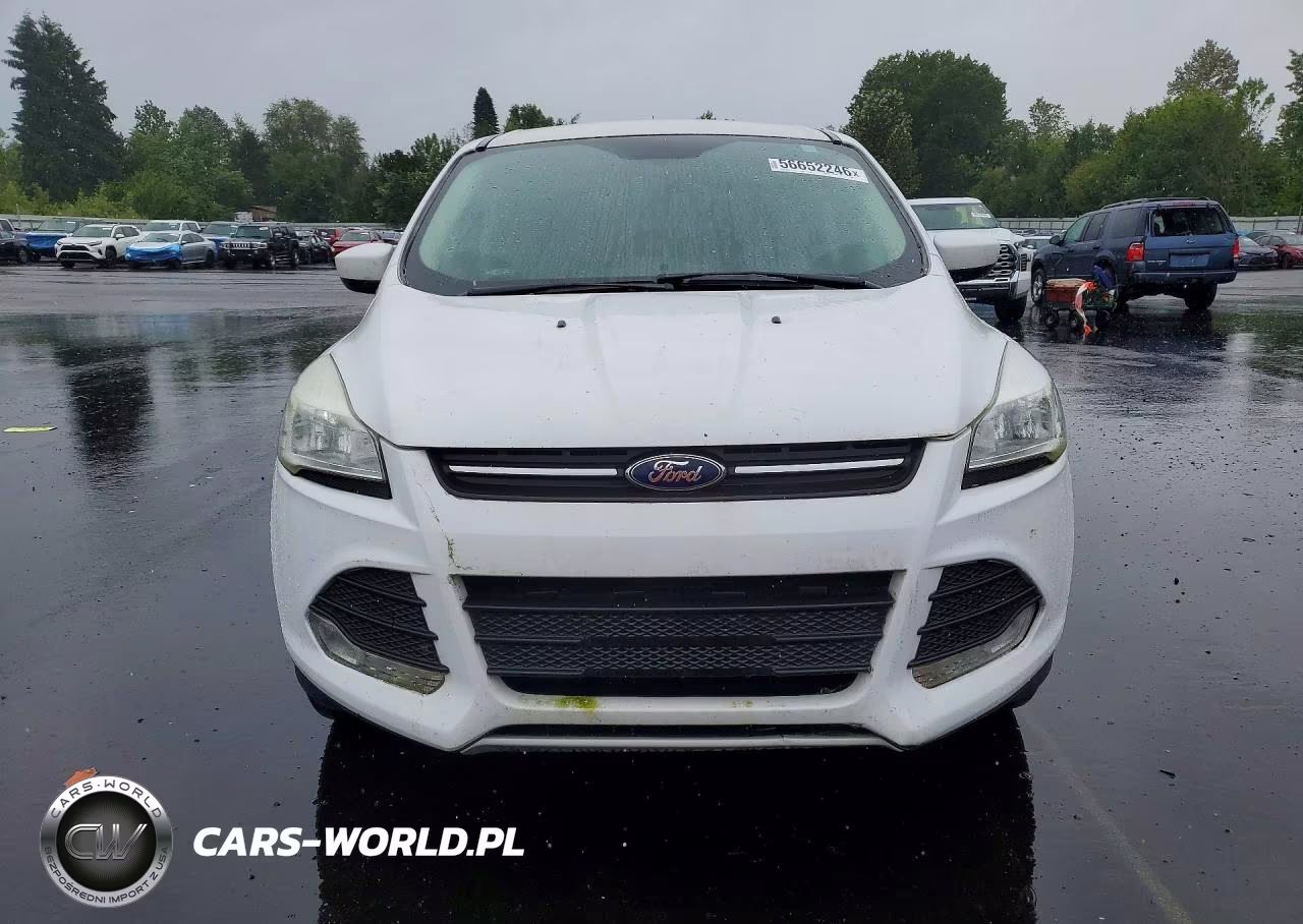 2016 Ford Escape VIN:1FMCU0GX8GUB41319 - 5
