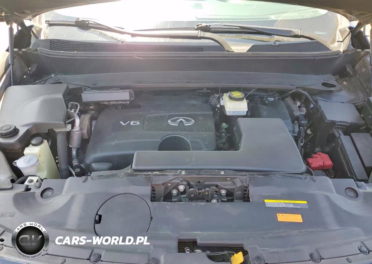 2019 Infiniti Qx60 Luxe VIN:5N1DL0MN6KC517315 - 12