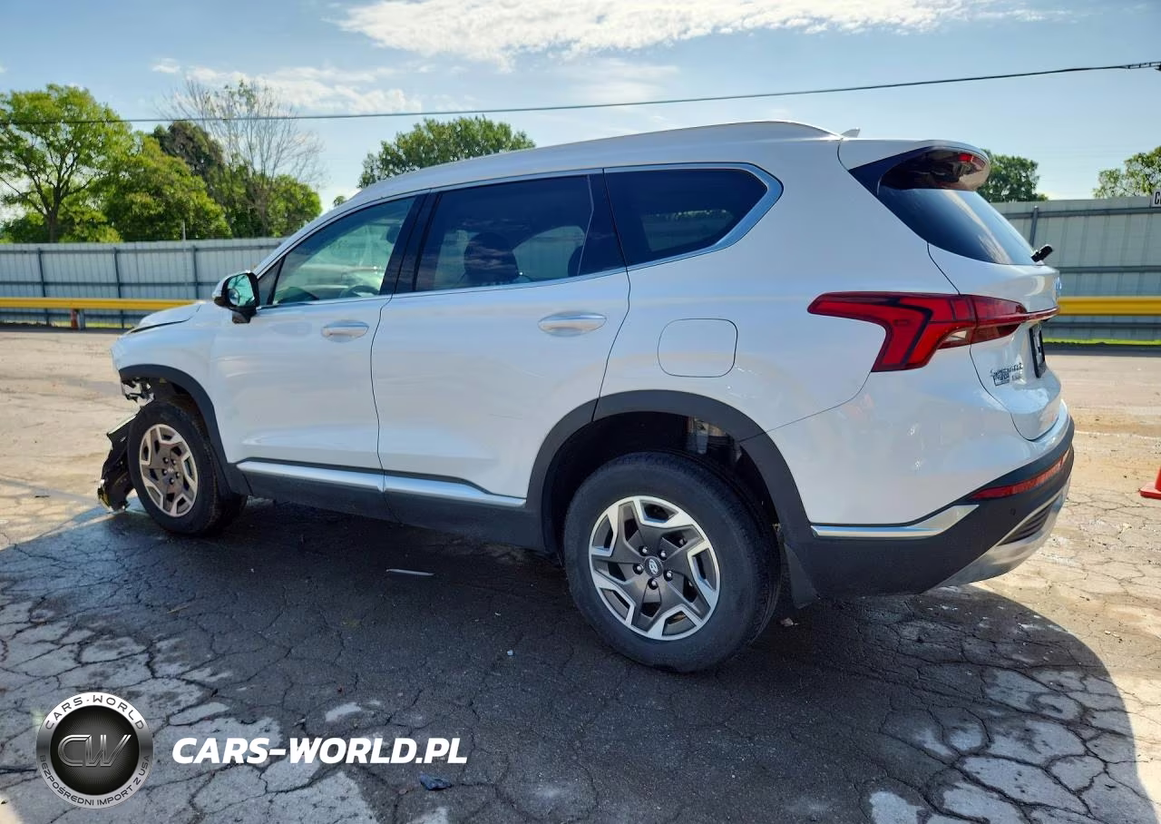 2023 Hyundai Santa Fe Blue VIN:5NMS2DA15PH021289 - 2