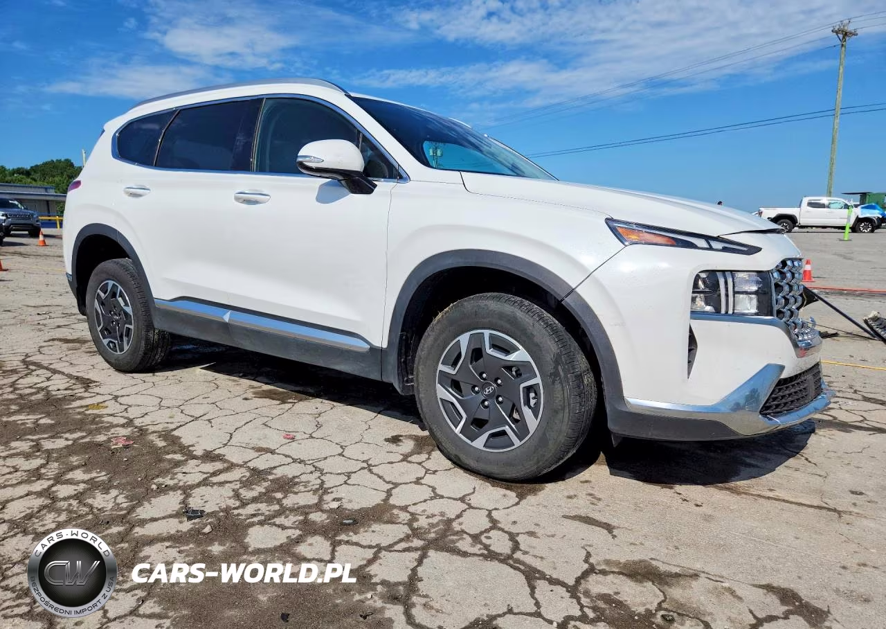 2023 Hyundai Santa Fe Blue VIN:5NMS2DA15PH021289 - 4