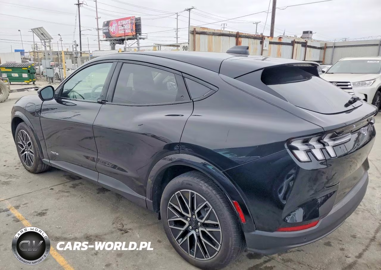 2025 Ford Mustang Mach-E Premium VIN:3FMTK3SU7SMA20783 - 2