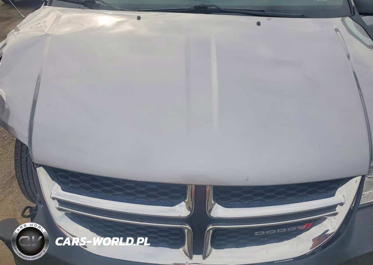 2019 Dodge Grand Caravan Sxt VIN:2C4RDGCG0KR761245 - 12