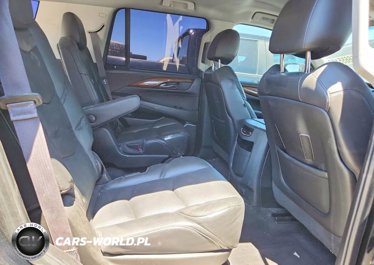 2016 Cadillac Escalade VIN:1GYS4AKJXGR189815 - 10