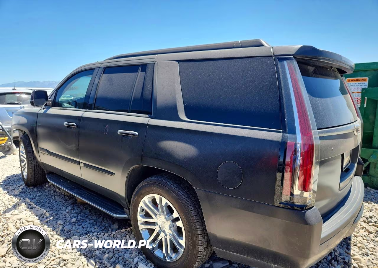 2016 Cadillac Escalade VIN:1GYS4AKJXGR189815 - 2