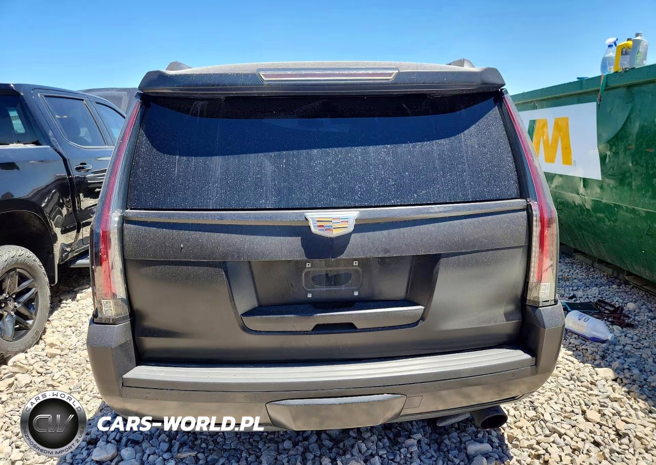 2016 Cadillac Escalade VIN:1GYS4AKJXGR189815 - 6