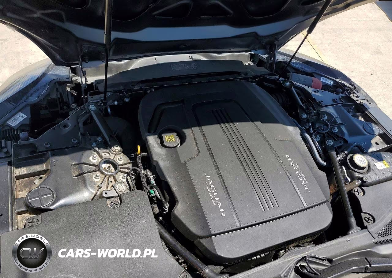 2020 Jaguar F-Type VIN:SAJDD1GX2LCK63917 - 11