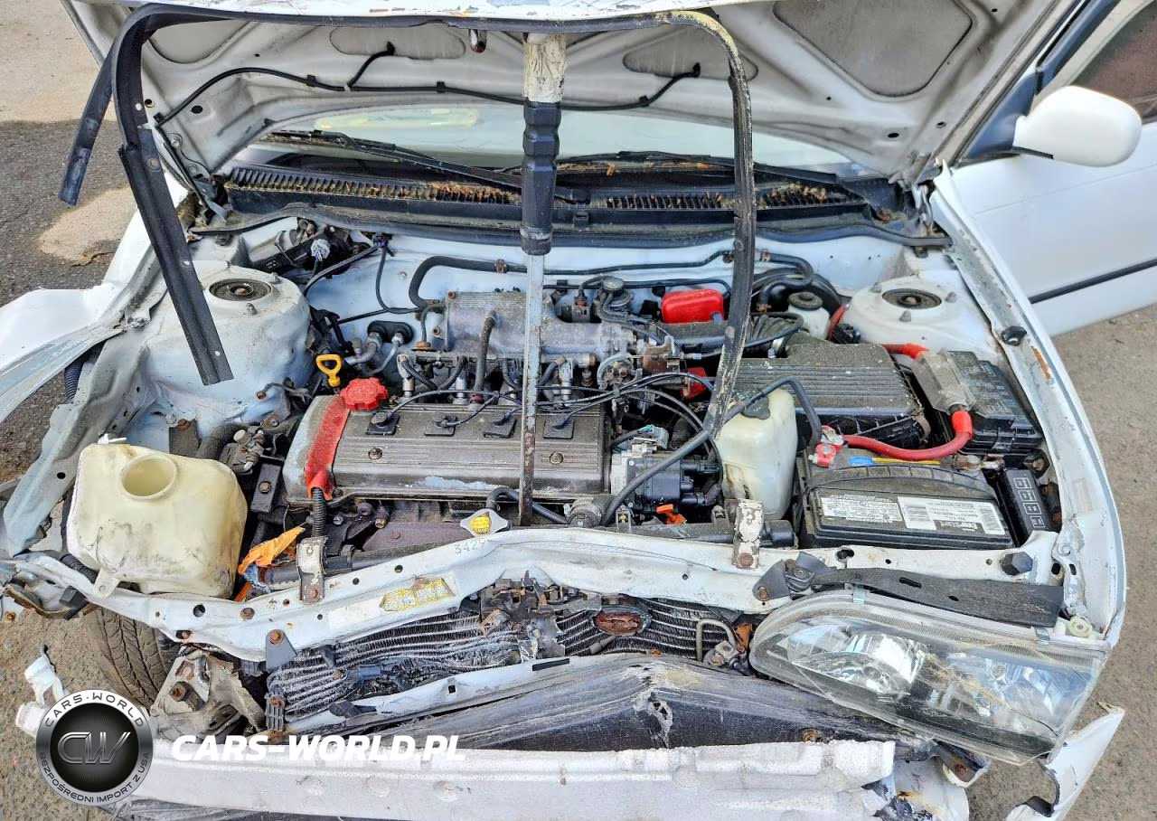 1997 Toyota Corolla Base VIN:2T1BA02E8VC183661 - 11