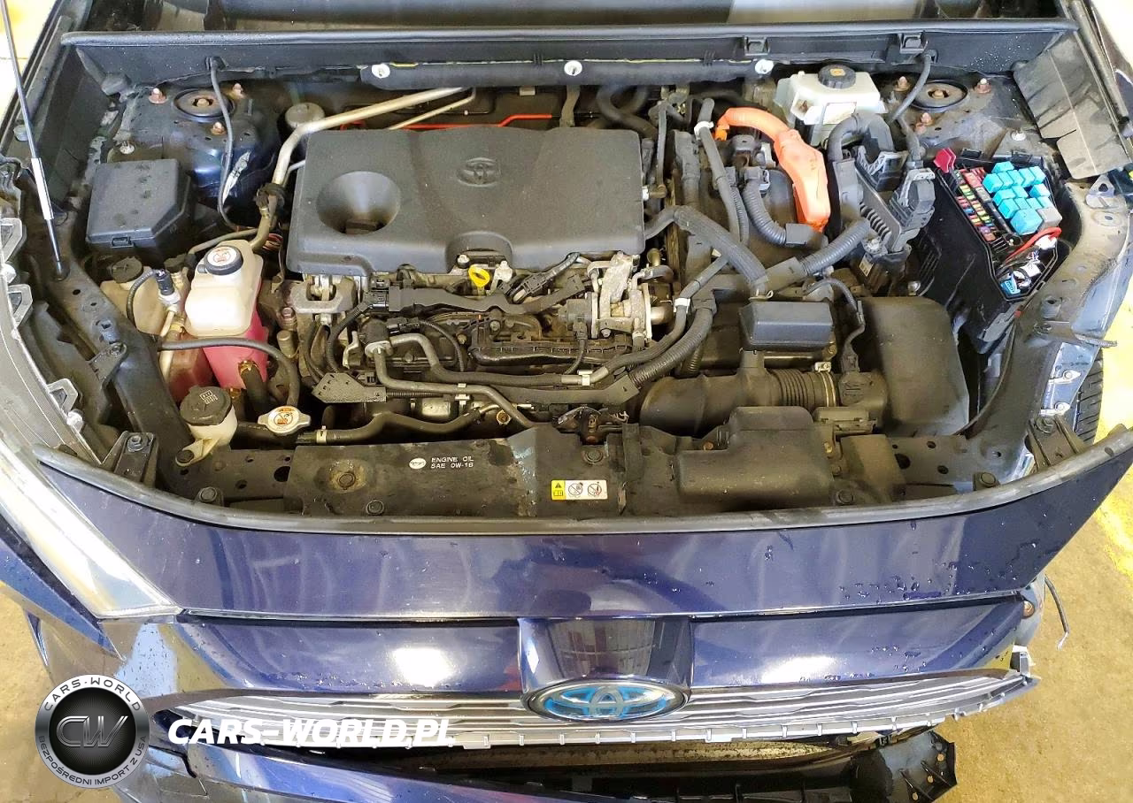 TOYOTA RAV4 XSE VIN:JTMEWRFV6KJ003641 - 12