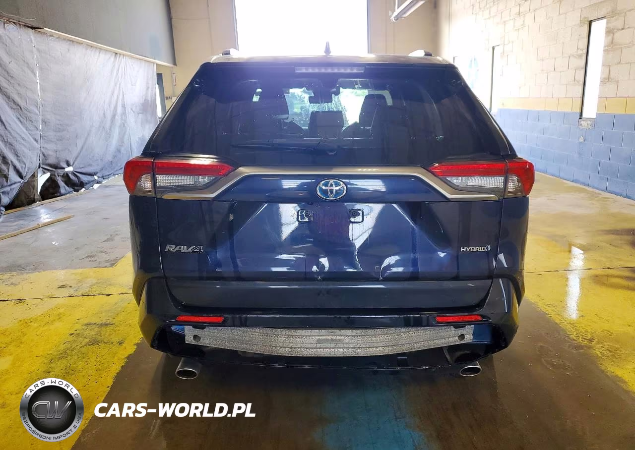 TOYOTA RAV4 XSE VIN:JTMEWRFV6KJ003641 - 6