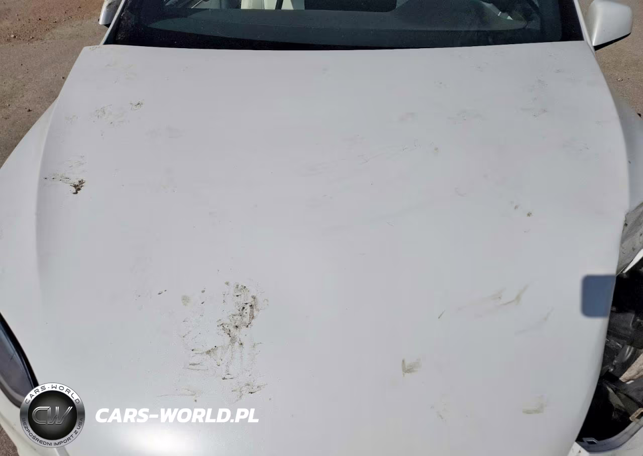 2022 Tesla Model X VIN:7SAXCBE59NF356223 - 12