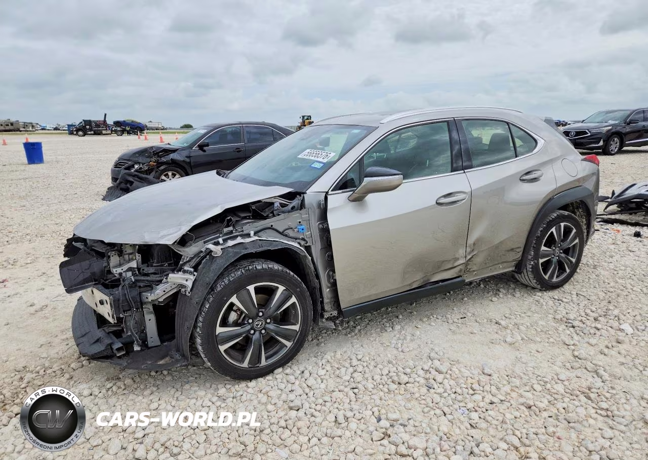 2019 Lexus Ux 200 VIN:JTHY3JBH3K2016900 - 1